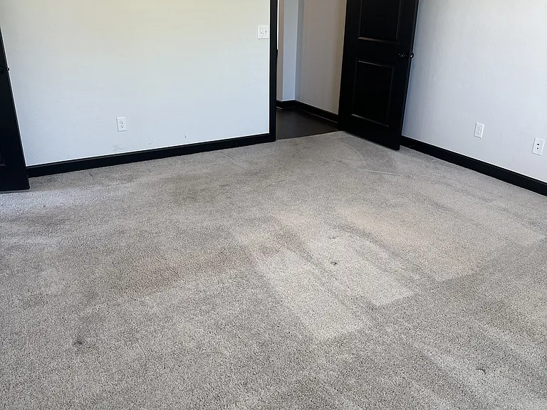 2229 Roca Dr — Photo 12