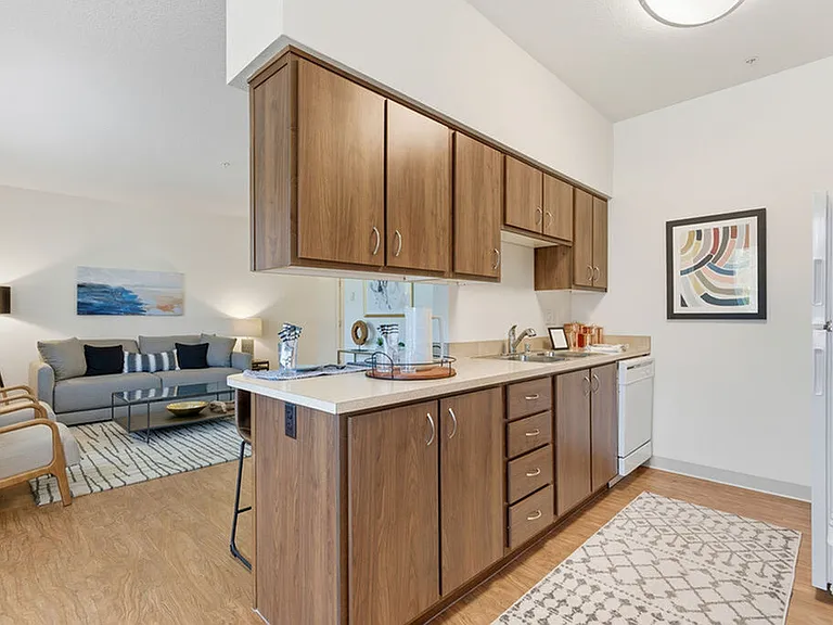 Kitchen Counter