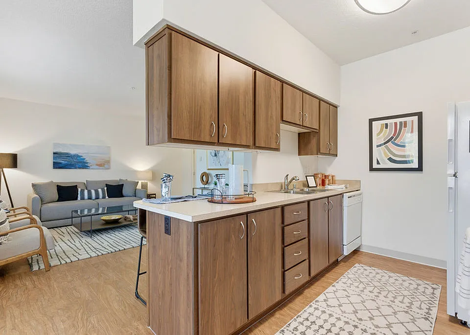 Kitchen Counter