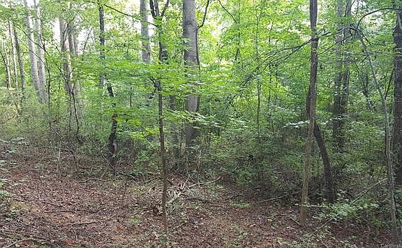 Beautiful wooded llot