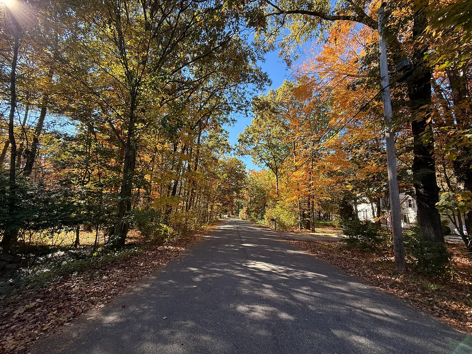 4 bed, 1500 sqft, $4,400 — Photo 4
