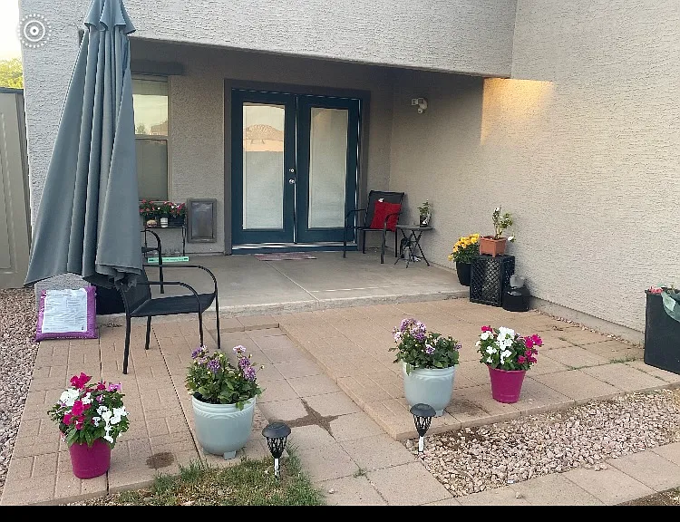 Back patio