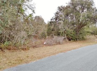 4115 N Ringwood Cir, Hernando, FL 34442
