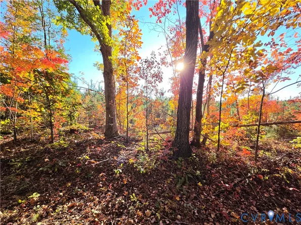 Penlan Rd #2D, Arvonia, VA 23004