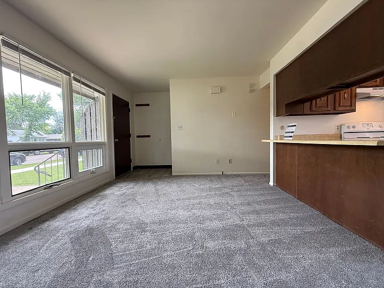 919 1st Ave SW — Photo 3