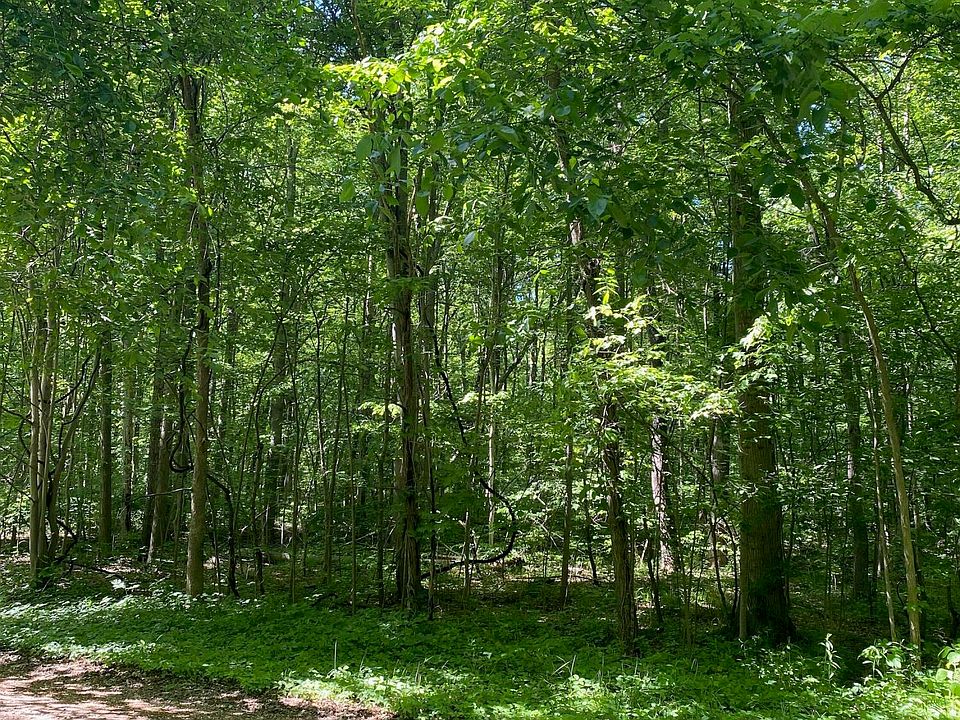 1st image of Stump St