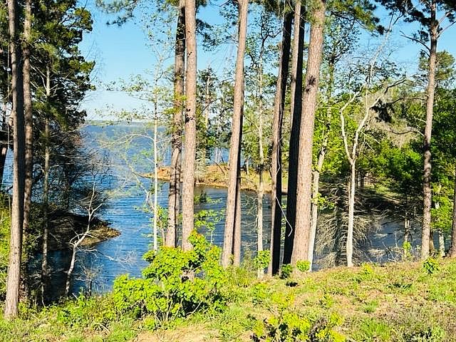 1st image of 956 Nine Mile Rd