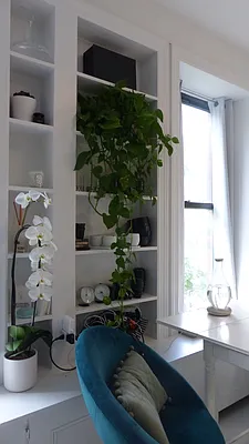 Rented by Immac Realty | media 27