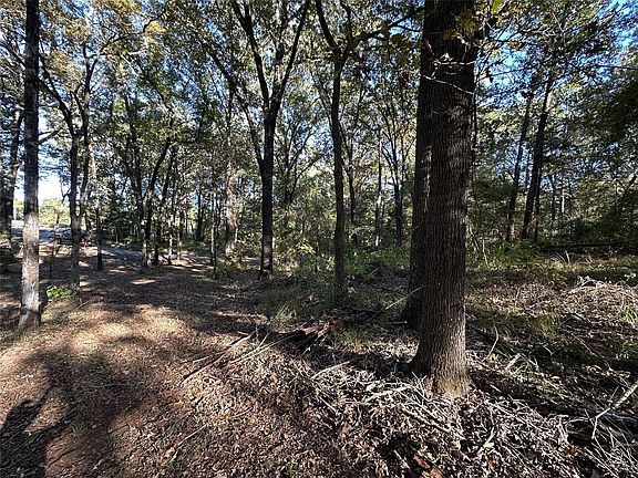 5th image of N/a County Rd Lot 58-2938