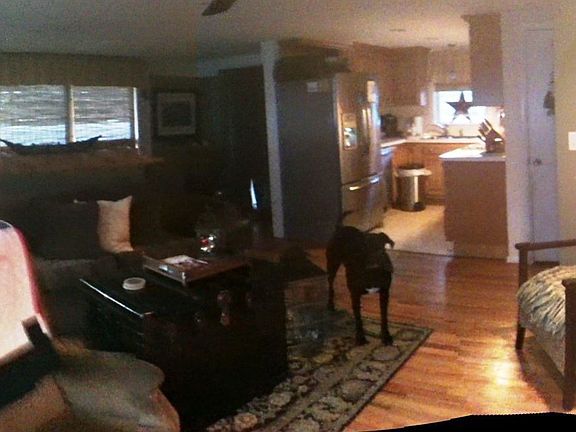 Living & kitchen