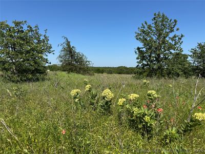 2668 Buck Horn Rd, Healdton, OK, 73438