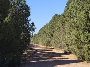 27600 S Soncy Rd, Canyon, TX 79015