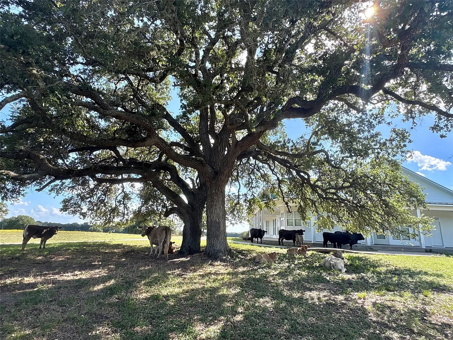 4 bed, 2.5 bath, 3600 sqft, $3,500 — Photo 3