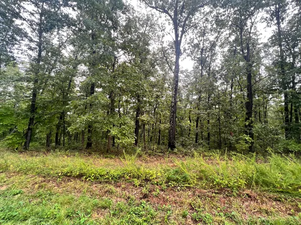 233 Lostinwoods Lane, Cape Fair, MO 65624
