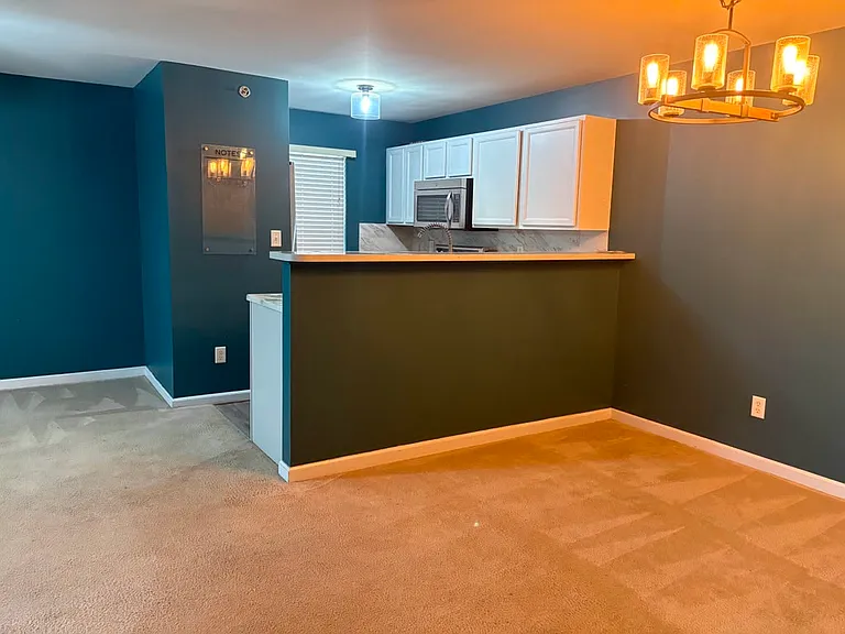 9201 Spring Creek Ln — Photo 31
