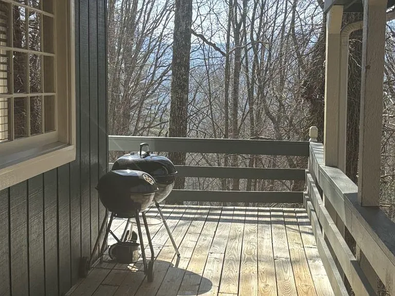 490 Chalet Village Ln — Photo 11