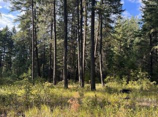 42XX Bussard Lake Rd, Loon Lake, WA 99148