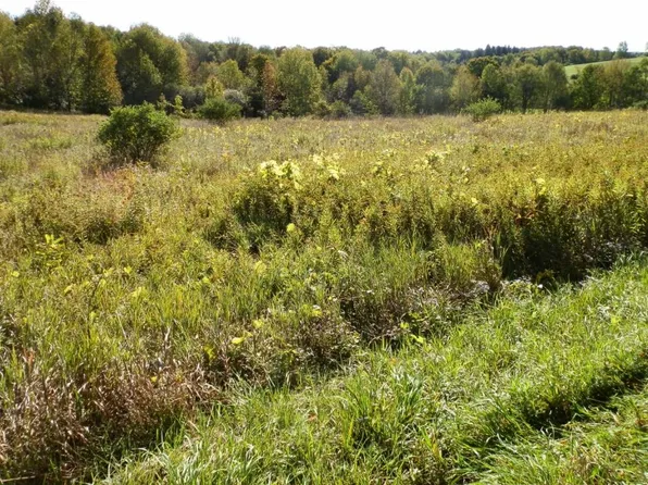 0 Chesebro Rd, West Edmeston, NY 13485