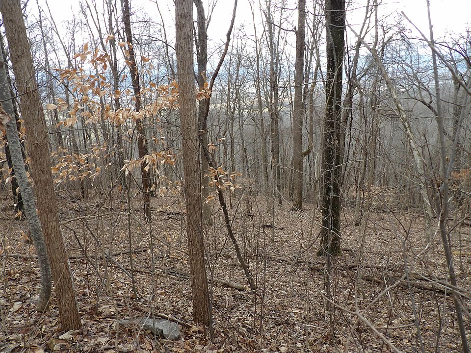 62 Stone Ridge Rd Pikeville, TN, 37367 Apartments for Rent Zillow