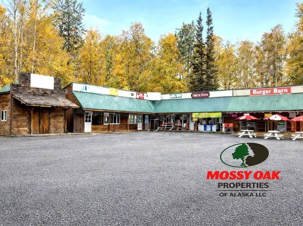 22336 S Talkeetna Spur Rd, Talkeetna, AK 99676