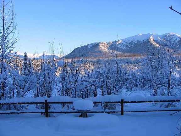 Winter wonderland backyard photo