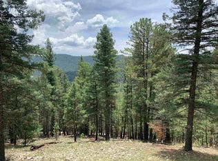 55 Forest View Rd, Cloudcroft, NM 88317