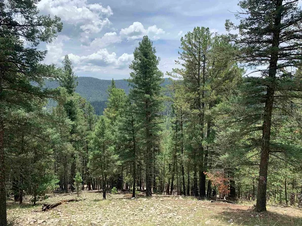 55 Forest View Rd, Cloudcroft, NM 88317