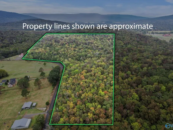 Little Arkansas Rd, Woodville, AL 35776