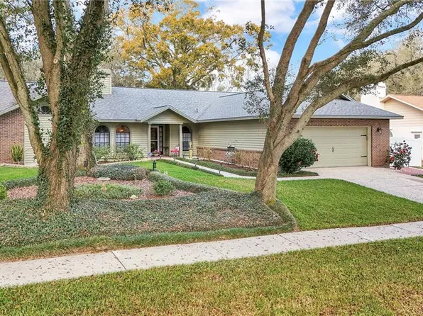 2704 Saint Cloud Oaks Dr, Valrico, FL 33594