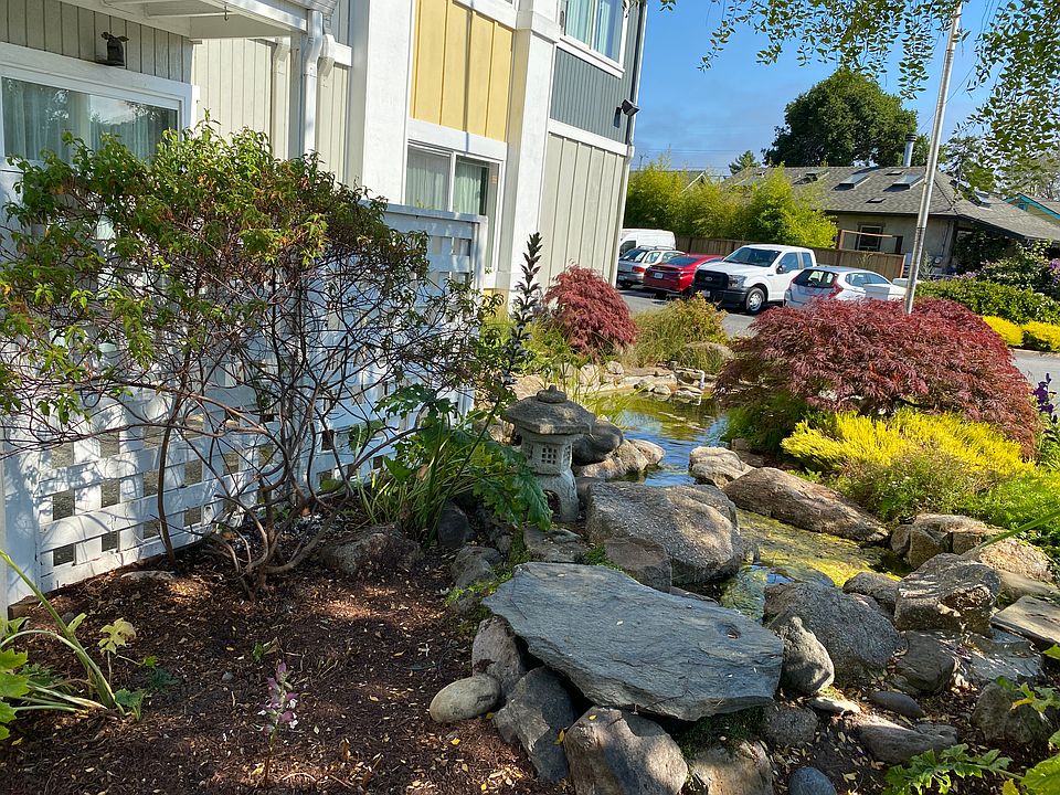 Lovely koi pond in front