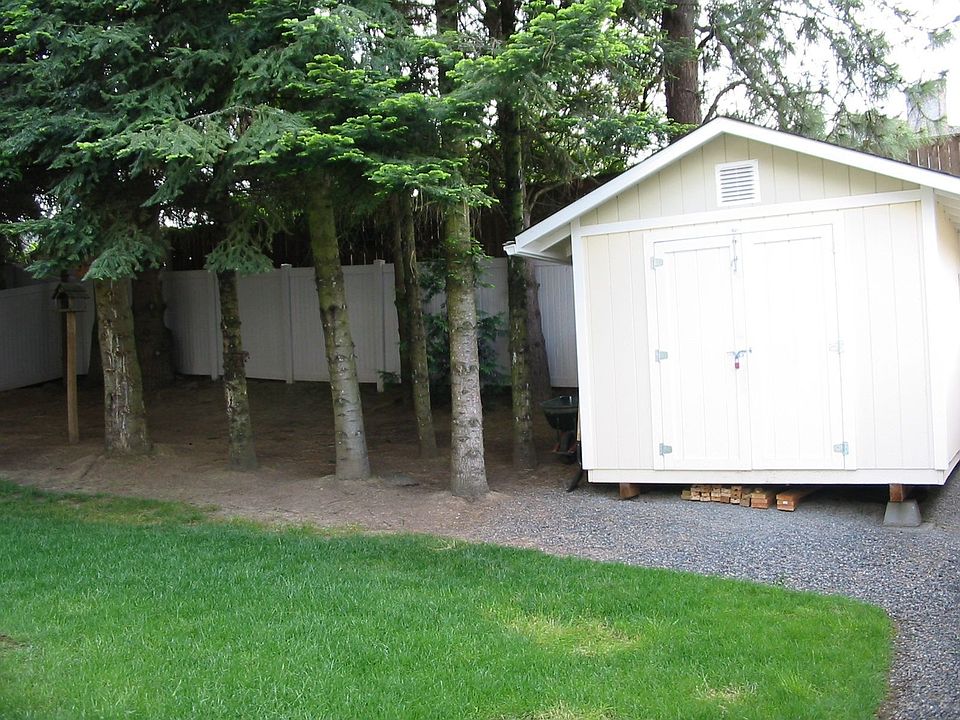 back yard and shed