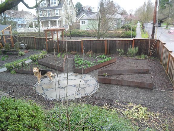 Raised beds spring