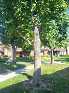 735 Knollwood Ln, San Dimas, CA, 91773