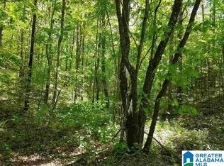 Boat Landing Rd, Oneonta, AL 35121