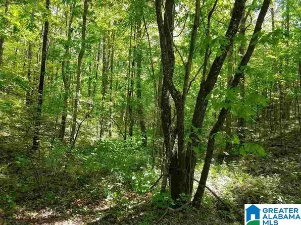 Boat Landing Rd, Oneonta, AL 35121