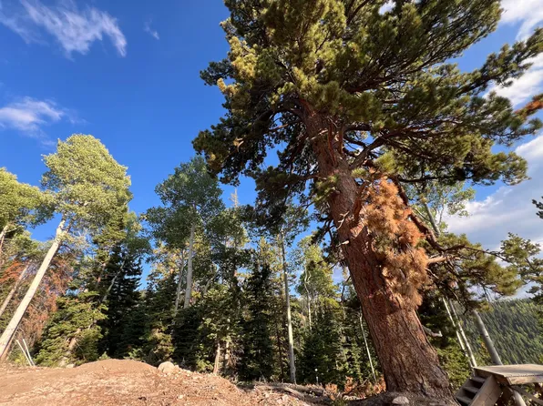 Ponderosa West Vlg Lot 134, Beaver, UT 84713