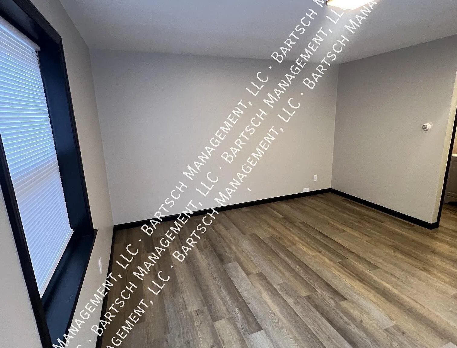 Studio, $900 — Photo 4