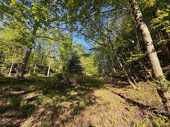 44th image of 2494 Seng Run Rd