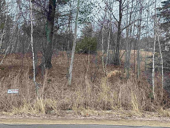 4th image of Barnstead North Road #4
