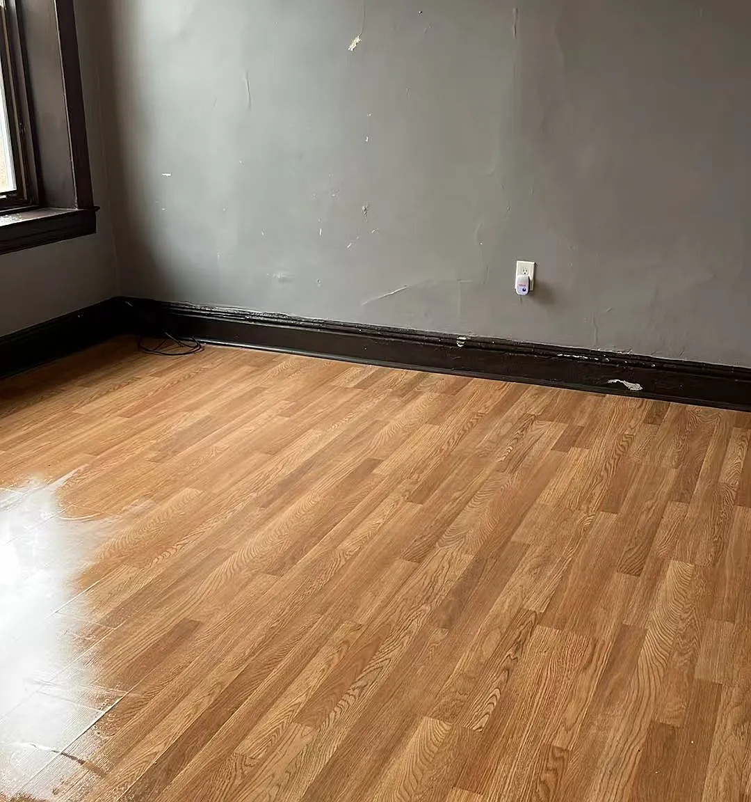 1 bed, $850 — Photo 2