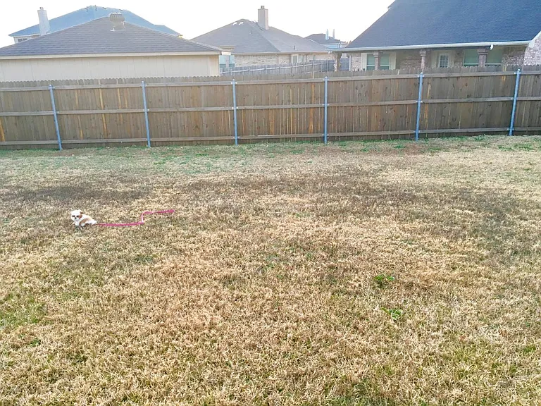 1612 Wolf Creek Dr — Photo 18