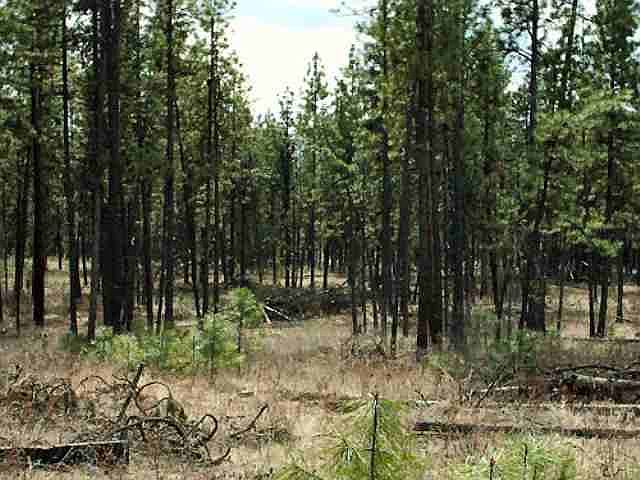 2nd image of S Swenson Rd