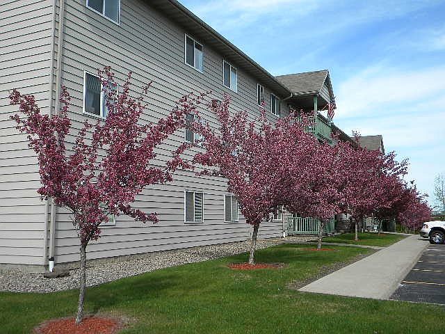 1st image of 8529 Parkvilla Dr APT 306