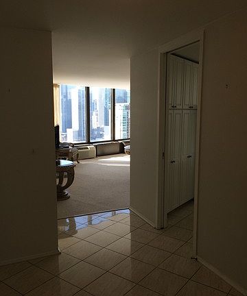 5th image of 505 N Lake Shore Dr APT 3008