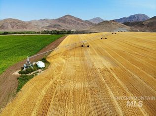 Custer Rd, Challis, ID 83226