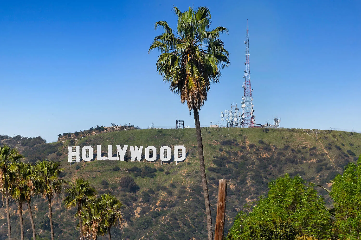 Fusion Hollywood — Photo 1