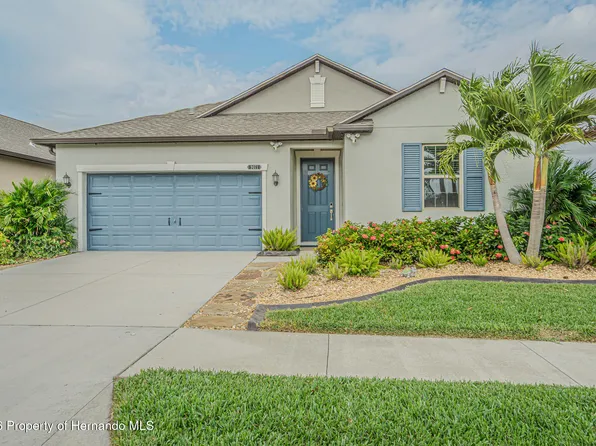 9071 Pleasant Woods Dr, Land O Lakes, FL 34637