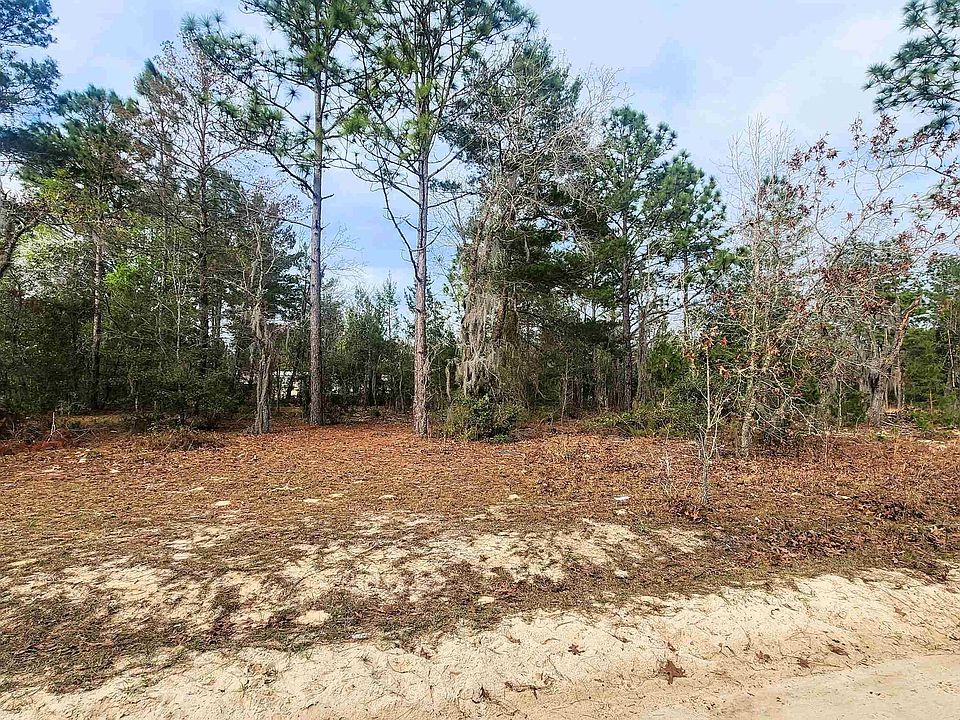 2nd image of Caribbean St