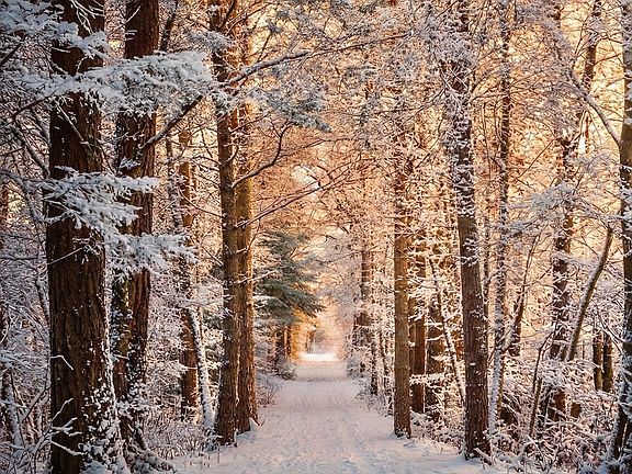 5th image of 0 Band Camp