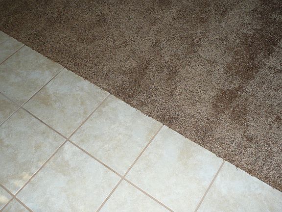 Tile Kitchen/Modern Shag Carpet